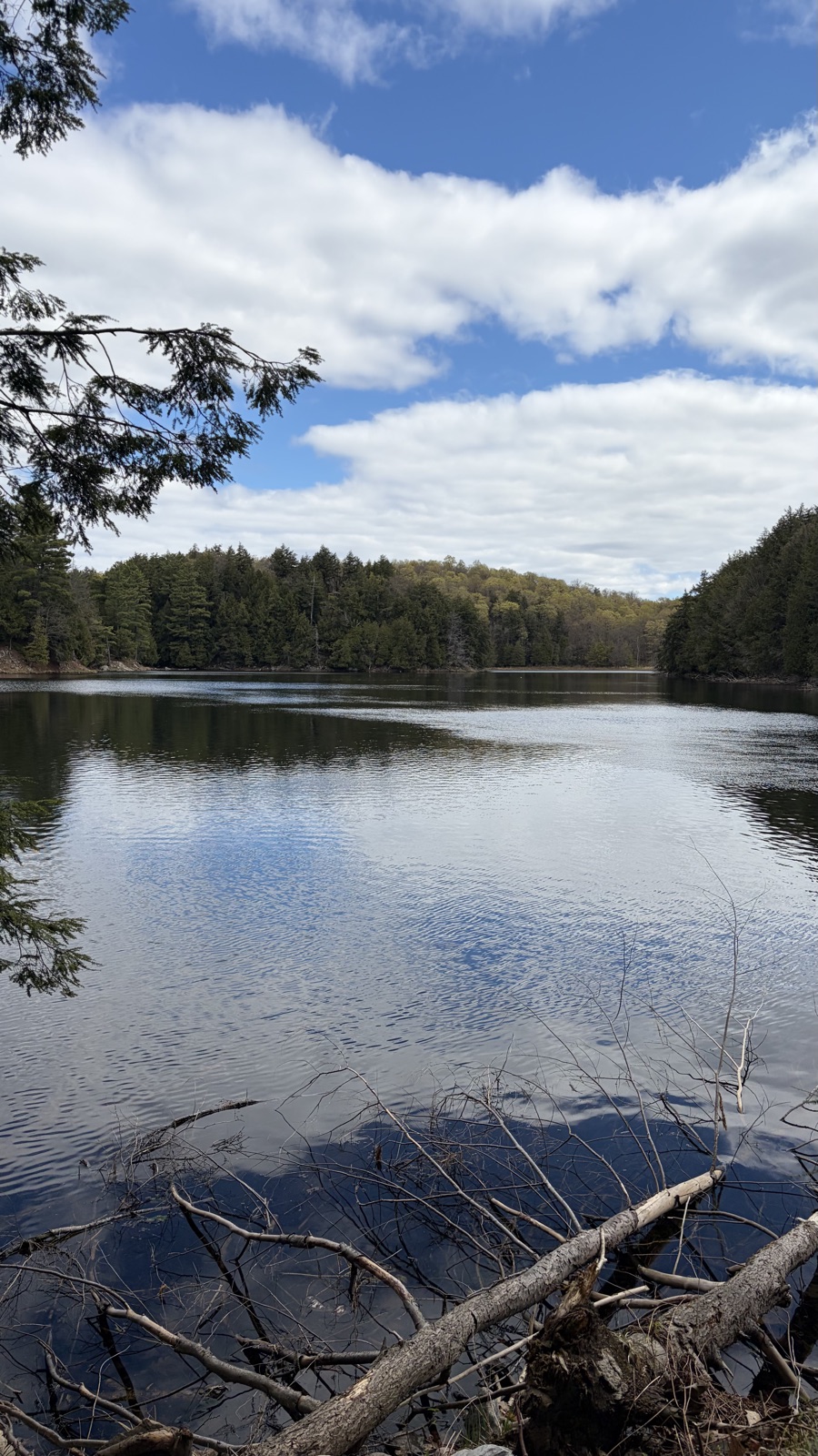 A lake and forest on a hike near Ottawa and Gatineau